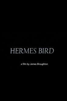 Hermes Bird