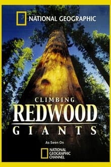Climbing Redwood Giants