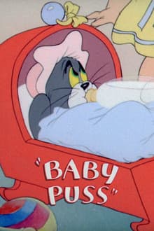 Baby Puss