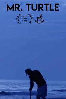 Mr. Turtle