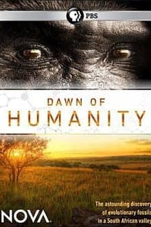 Dawn of Humanity