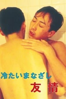 Cold Gaze Friendship