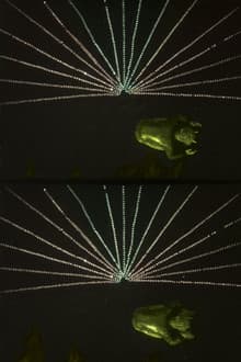 Fantaisies endiablées