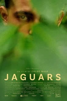Jaguars