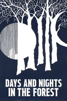 Days and Nights in the Forest