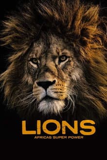 Lions: Africa's Super Power