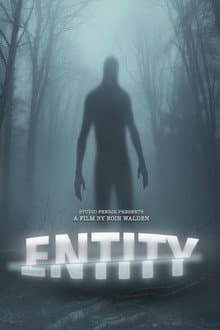 Entity