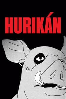 Hurikán