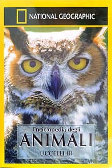 Owls: Silent Hunters