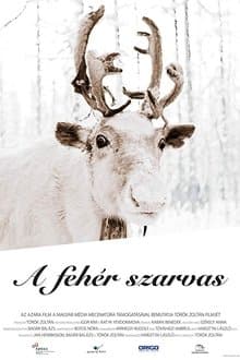 The White Reindeer