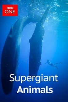 Supergiant Animals