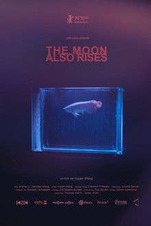 The Moon Also Rises