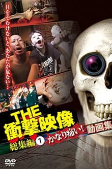 THE Shōgeki Eizō Sōshūhen (1) Kanari Itai! Dōga-shū