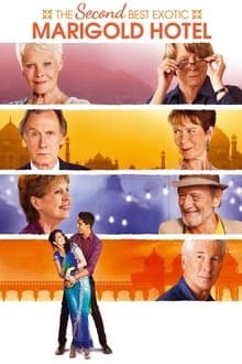 The Second Best Exotic Marigold Hotel