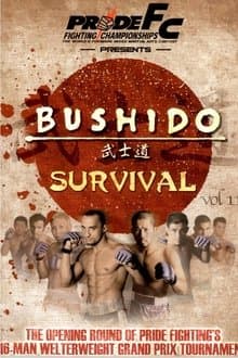 Pride Bushido 11