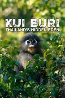 Kui Buri: Thailand's Hidden Eden
