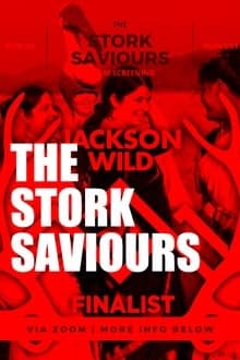 The Stork Saviours