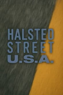 Halsted Street, USA