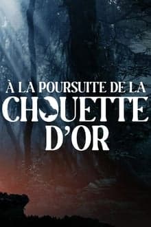 A la poursuite de la chouette d'or