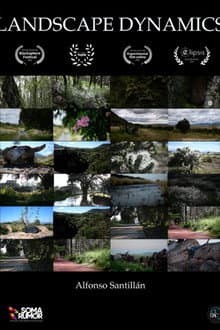 Landscape dynamics