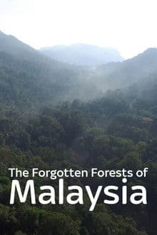 The Forgotten Forests of Malaysia