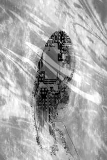 Anthropic Principle