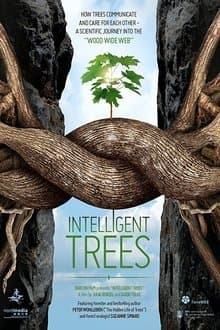 Intelligent Trees