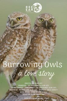 Burrowing Owls: A Love Story