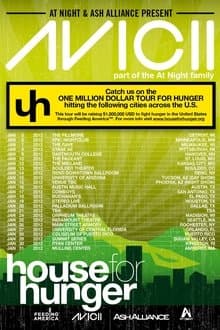 Avicii on Tour