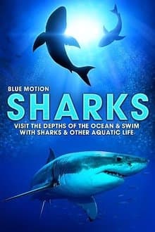 Blue Motion: Rulers of the Oceans