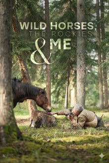 Wild Horses, the Rockies and Me