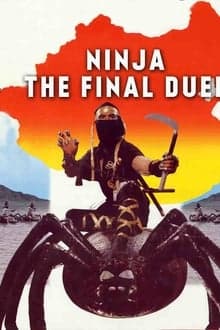 Ninja: The Final Duel