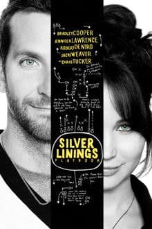 Silver Linings Playbook