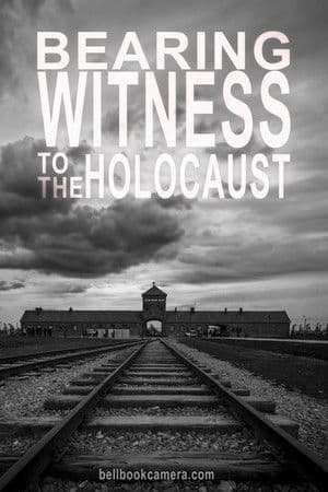Bearing Witness to the Holocaust