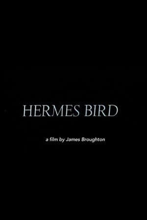 Hermes Bird