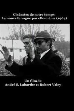 La Nouvelle Vague par elle-même