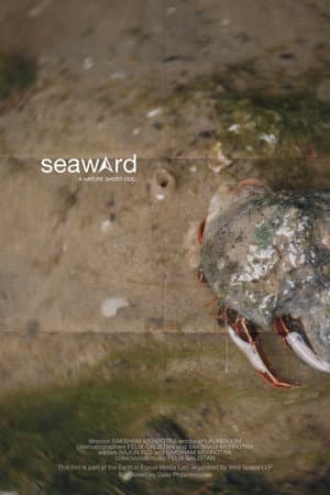 seaward