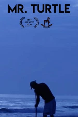Mr. Turtle
