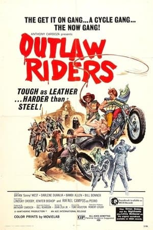 Outlaw Riders