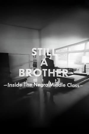 Still A Brother: Inside the Negro Middle Class