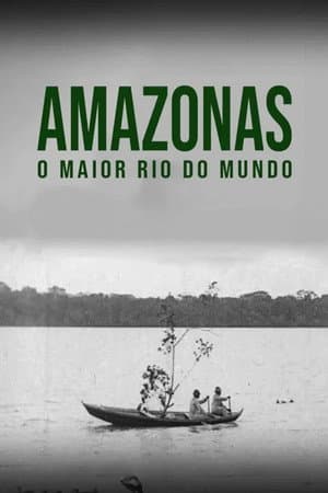 Amazon: Longest River in the World