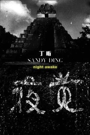 Night Awake