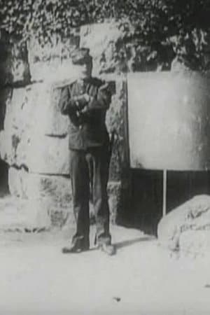 The Hierarchies of Love