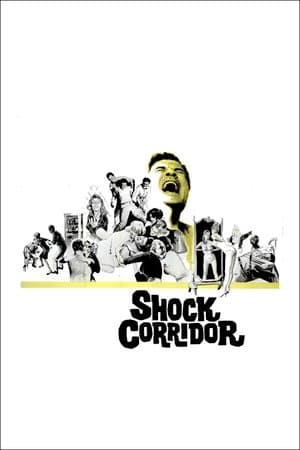 Shock Corridor