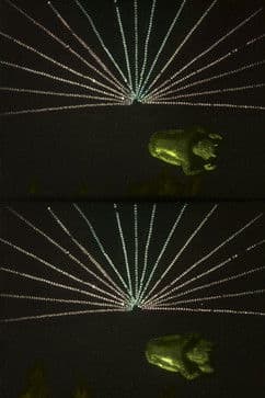 Fantaisies endiablées