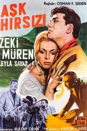 Aşk Hırsızı