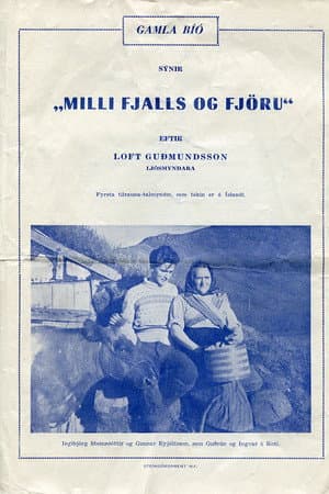 Between Mountain and Shore