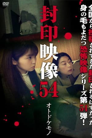 Sealed Video 54: Otodokemono