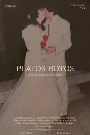 Platos Rotos
