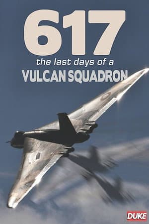 617: The Last Days of a Vulcan Squadron